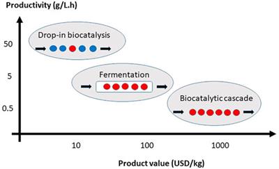 New Horizons for Biocatalytic Science